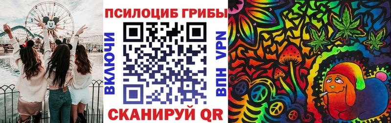 Купить где  Нефтекумск  Галлюциногенные грибы мицелий 